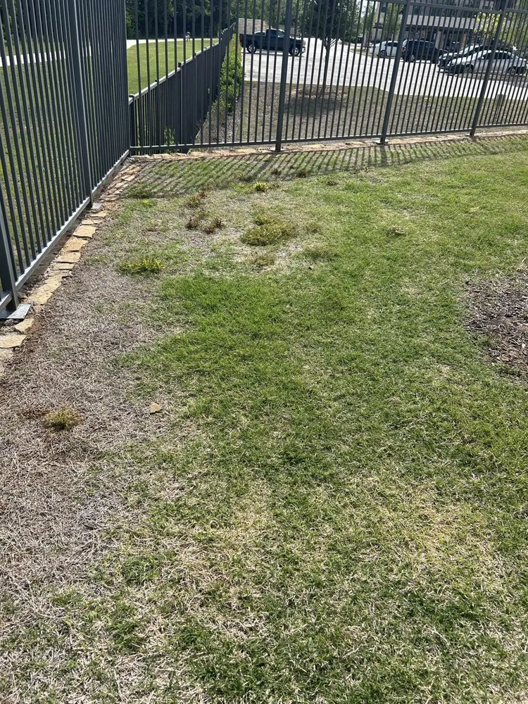 Affordable lawn care service experts serving Aubrey, TX - Root & Reign