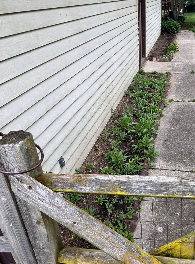 Professional outdoor landscaping experts serving Toledo, OH - Root & Rise