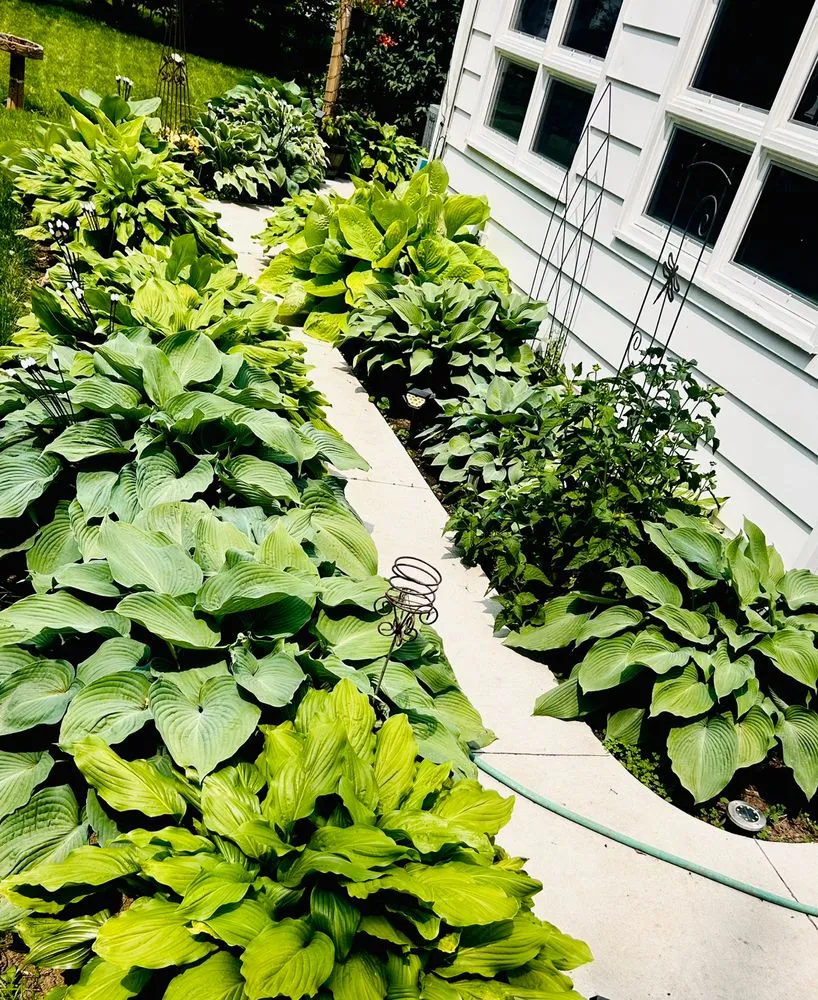 Local yard maintenance in Toledo, OH - Root & Rise