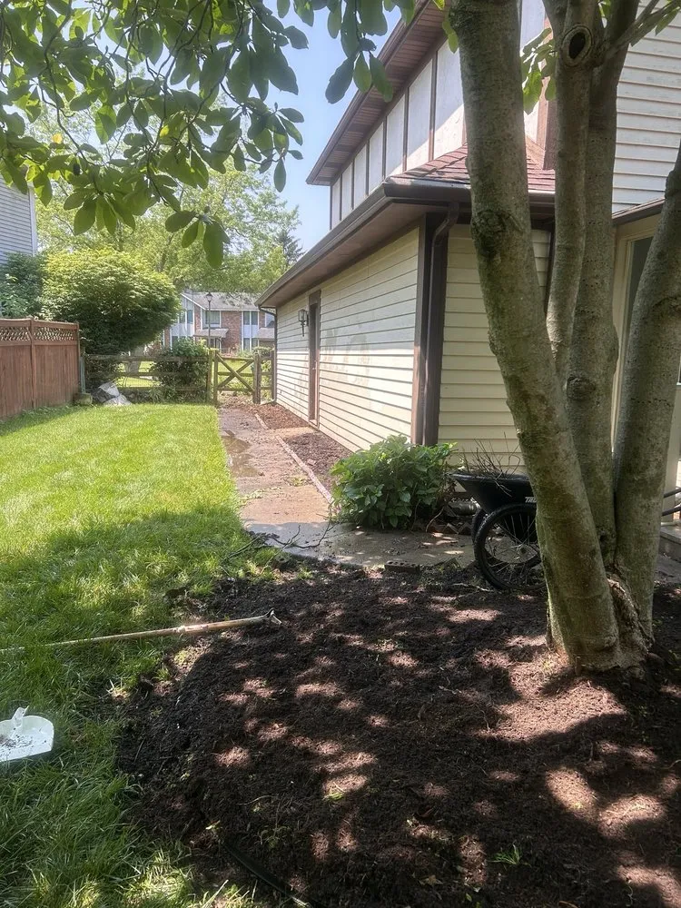 Trusted yard cleanup service for outdoor upgrades in Toledo, OH by Root & Rise