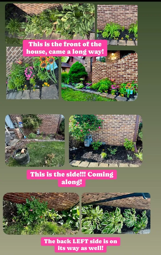 Reliable lawn mowing service in Toledo, OH - Root & Rise