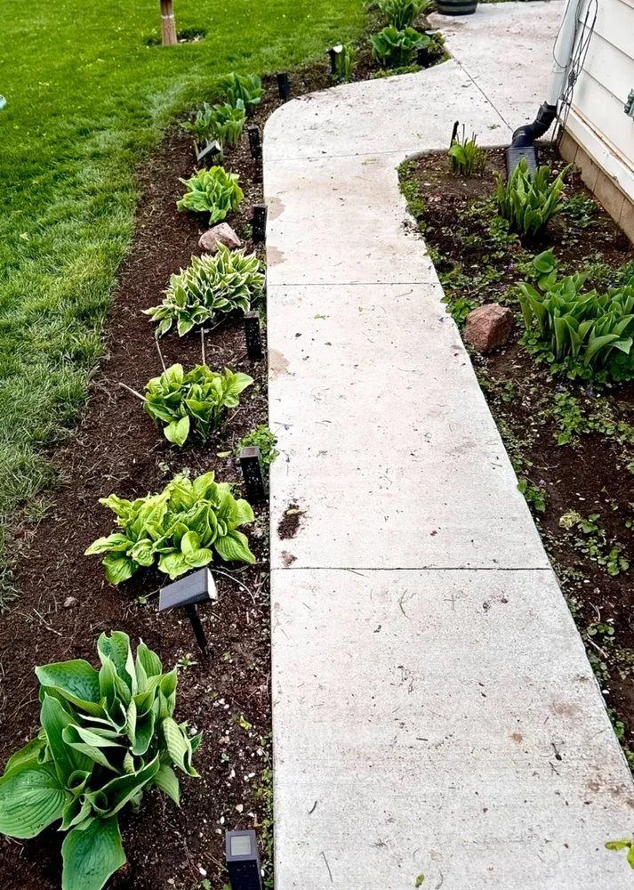 Affordable yard cleanup service experts serving Toledo, OH - Root & Rise