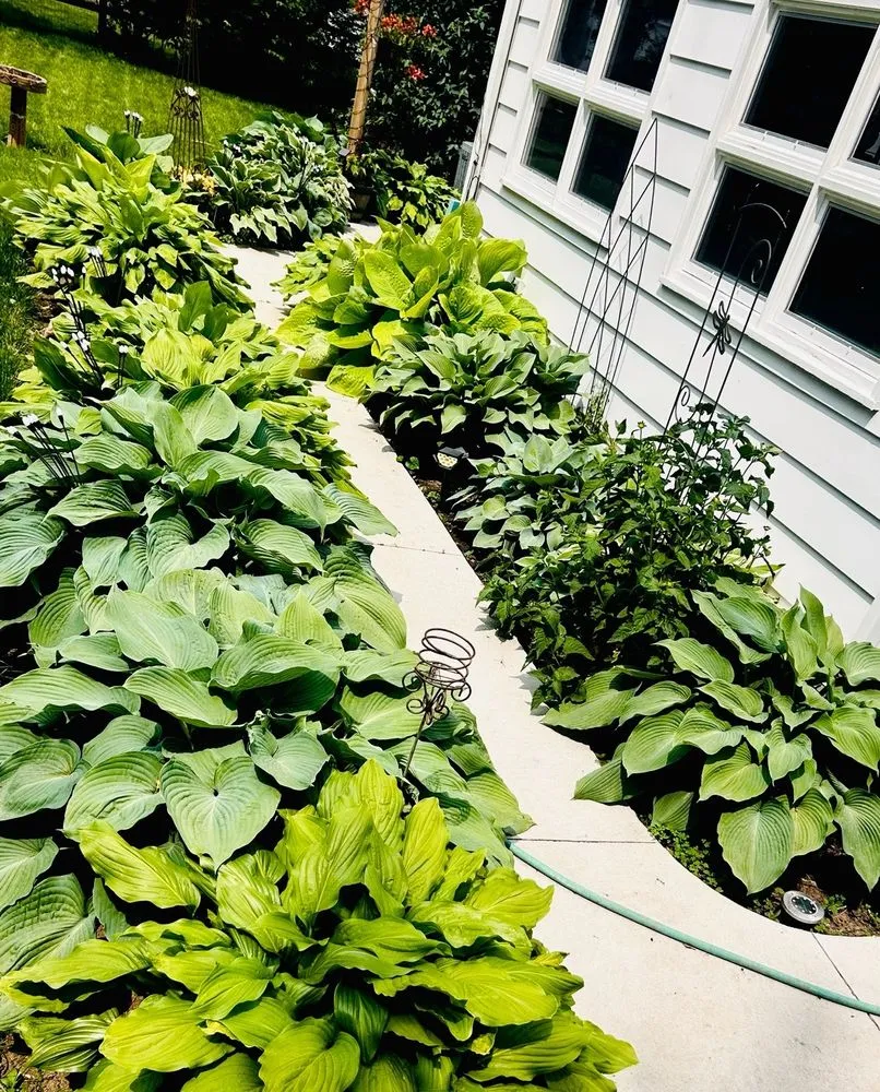 Trusted landscape installation near you in Toledo, OH by Root & Rise