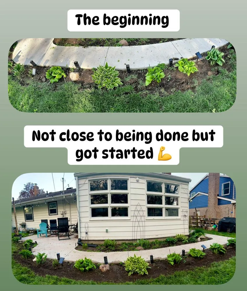 Expert yard maintenance experts serving Toledo, OH - Root & Rise