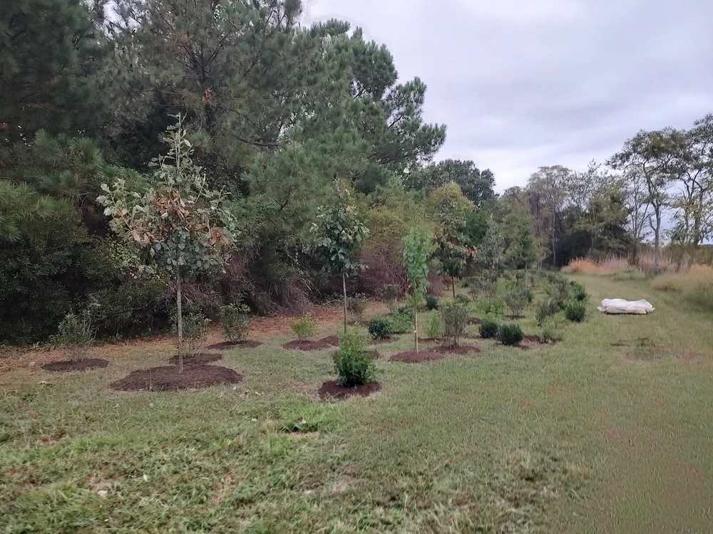 Local landscaping services experts serving Severna Park, MD - Root & Stone