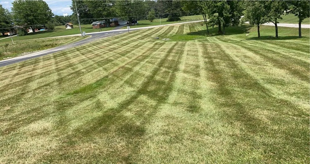 Top-rated yard cleanup service in Linton, IN - Root 54 Landscapes