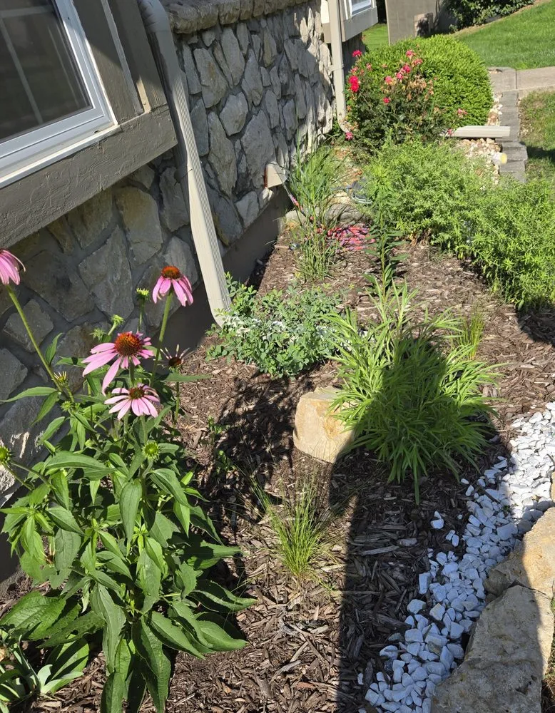 Reliable lawn care service in Kansas City, MO by Root Design