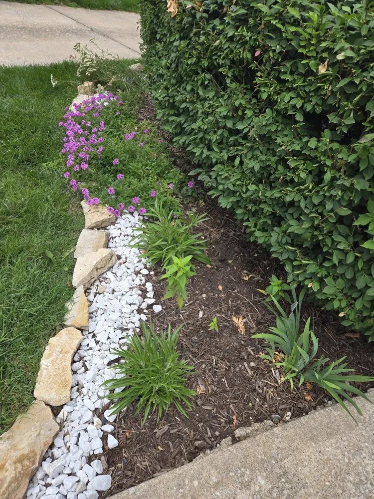 Top-rated residential landscaping in Kansas City, MO - Root Design