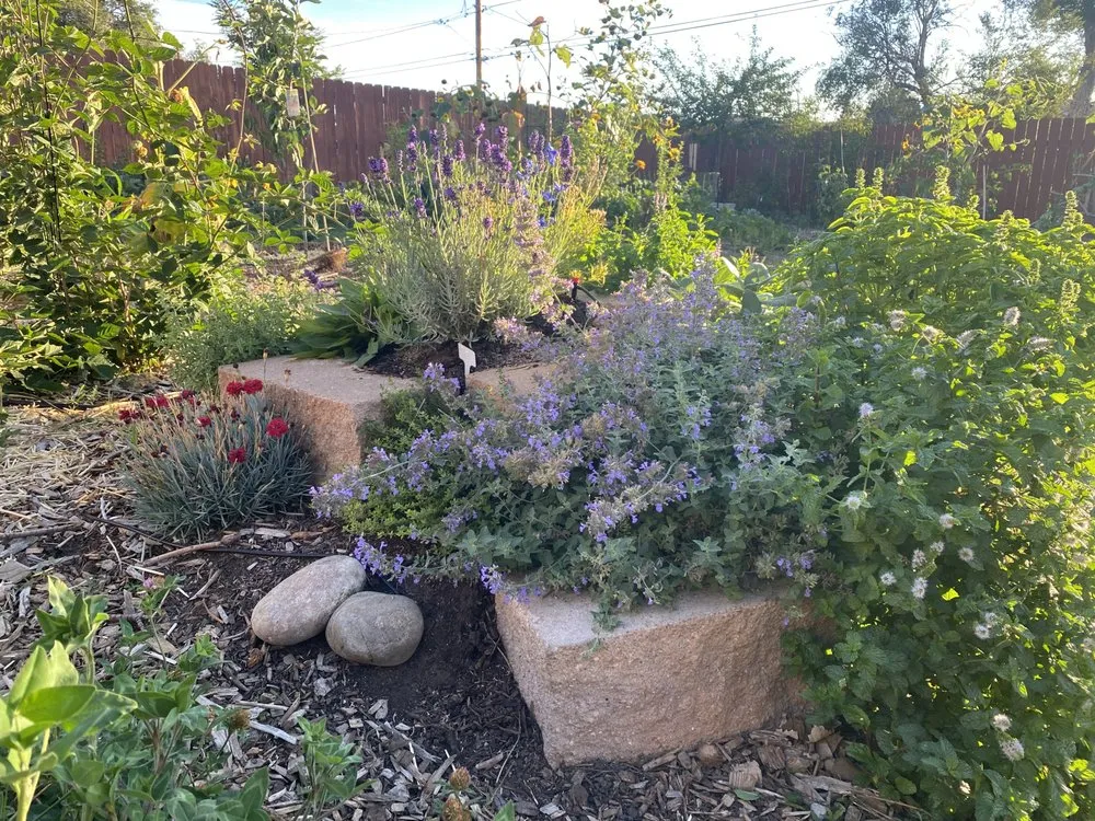 Reliable yard cleanup service in Kansas City, MO - Root Design