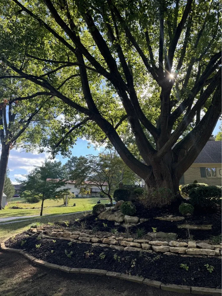 Custom landscape design in Kansas City, MO by Root Design