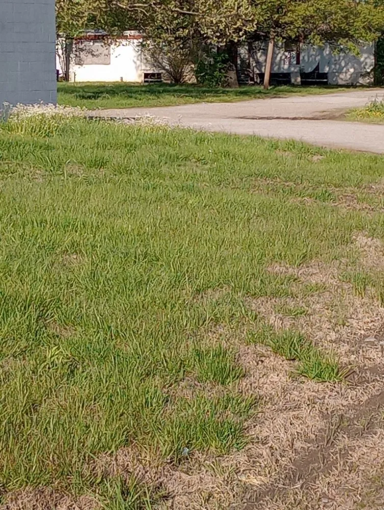 Top-rated landscaping services in Wagoner, OK - Root Family Lawn Care & Home Services