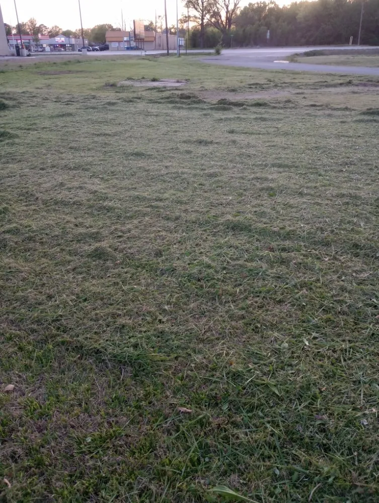 Trusted outdoor landscaping near you in Wagoner, OK by Root Family Lawn Care & Home Services