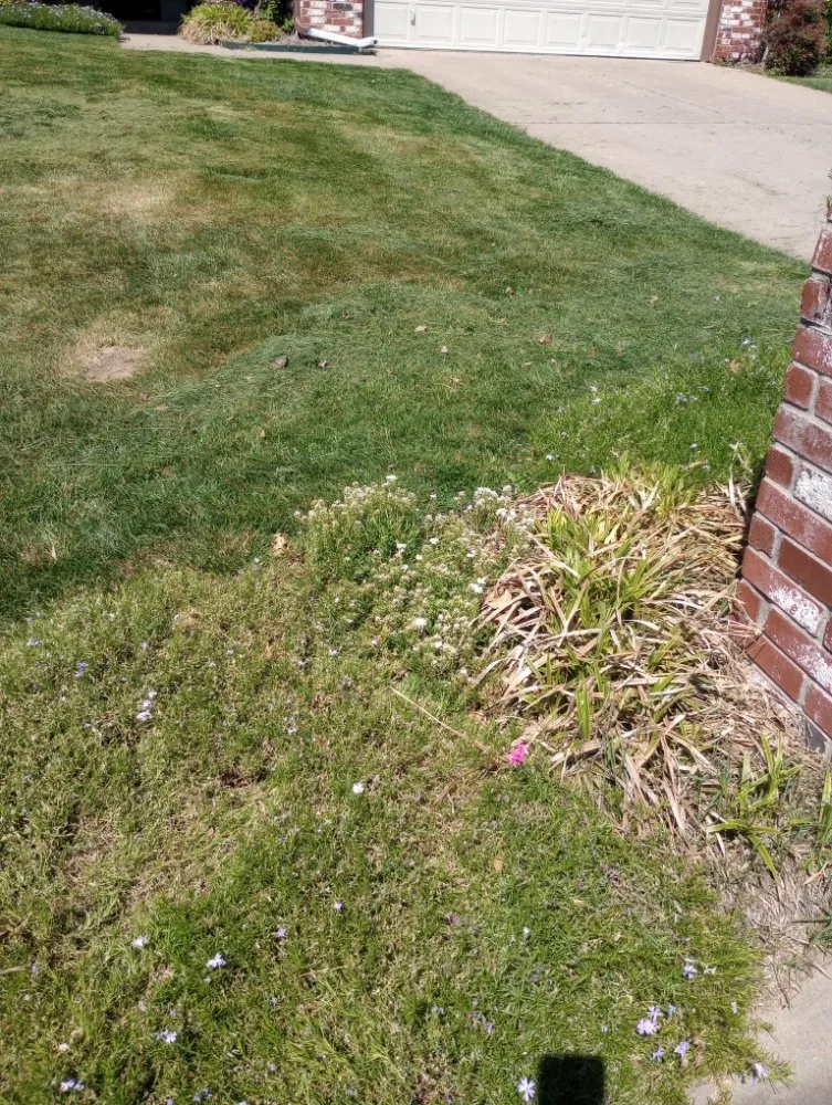 Expert landscaping services experts serving Wagoner, OK - Root Family Lawn Care & Home Services