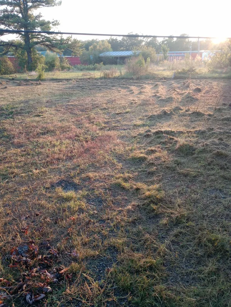 Trusted outdoor landscaping for residential properties in Wagoner, OK by Root Family Lawn Care & Home Services