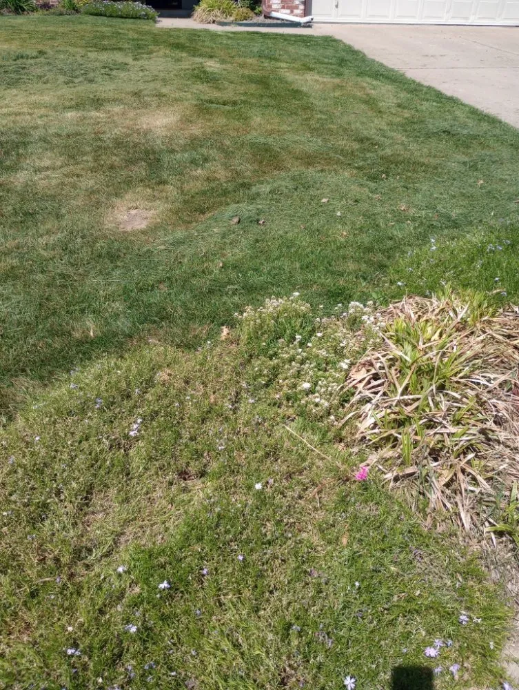 Affordable lawn care service experts serving Wagoner, OK - Root Family Lawn Care & Home Services