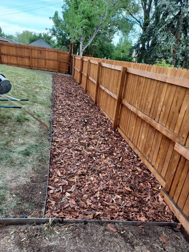 Expert landscaping services in Denver, CO - Root of David Landscape