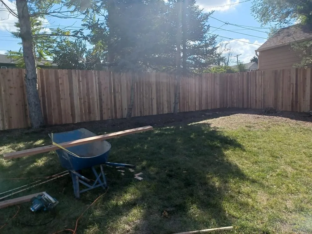 Top-rated lawn care service in Denver, CO by Root of David Landscape