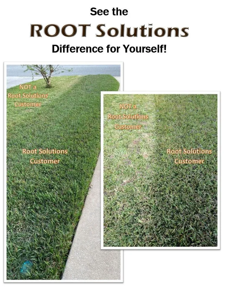 Top-rated lawn mowing service with custom design across Orange Park, FL - Root Solutions Lawn Treatment