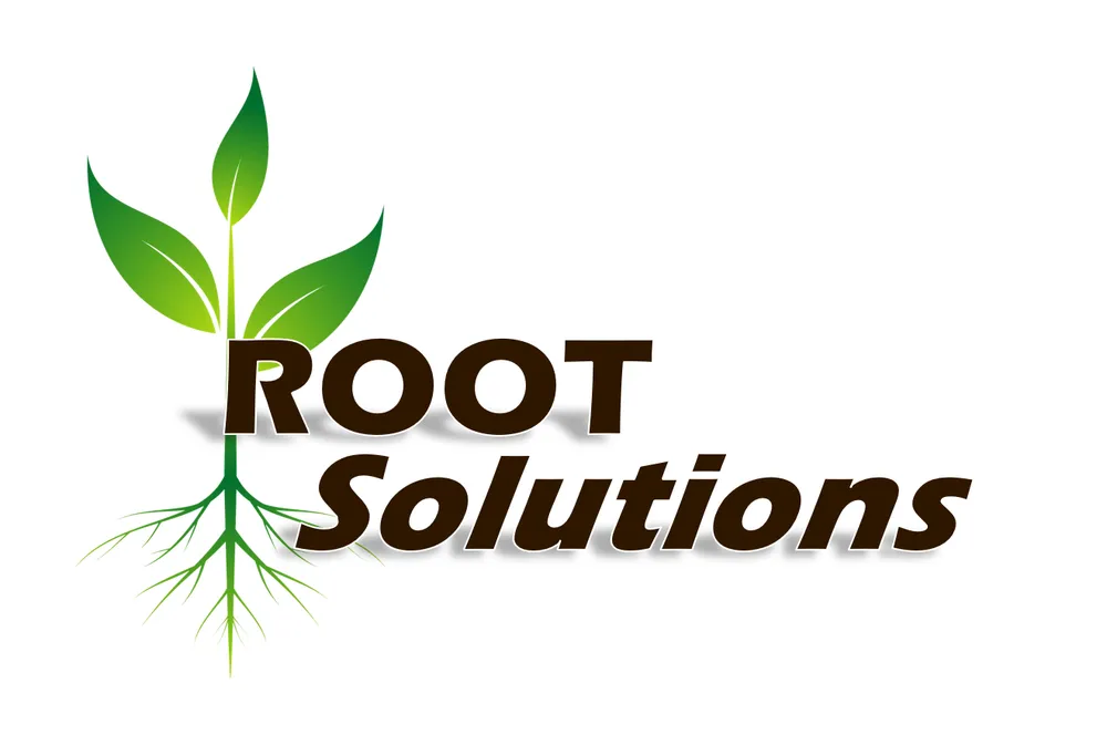 Reliable outdoor landscaping near you in Orange Park, FL by Root Solutions Lawn Treatment