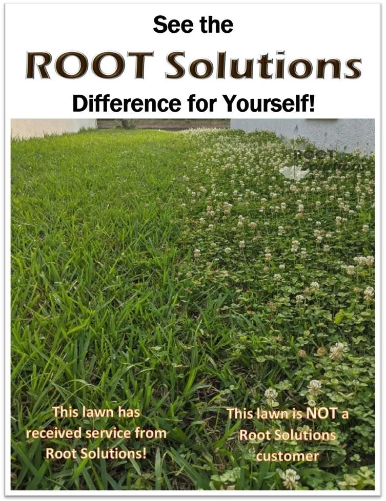 Reliable landscape installation near you in Orange Park, FL by Root Solutions Lawn Treatment