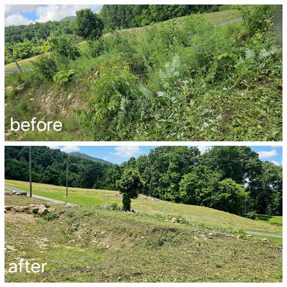 Top-rated landscape installation for residential properties in Pigeon Forge, TN by Root to Roof Landscaping & Construction