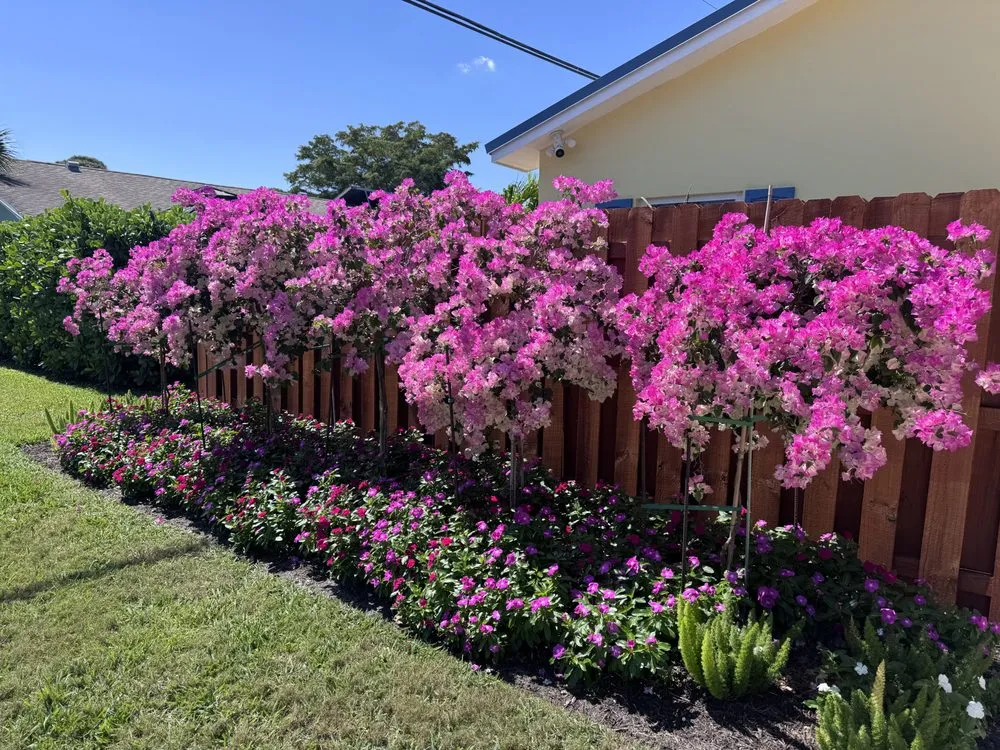 Professional residential landscaping in Boynton Beach, FL by Root Wise