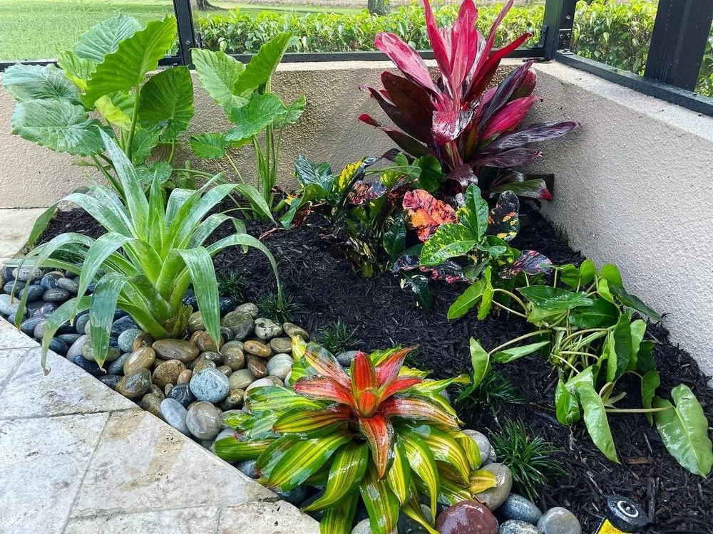 Affordable yard maintenance near you across Boynton Beach, FL - Root Wise