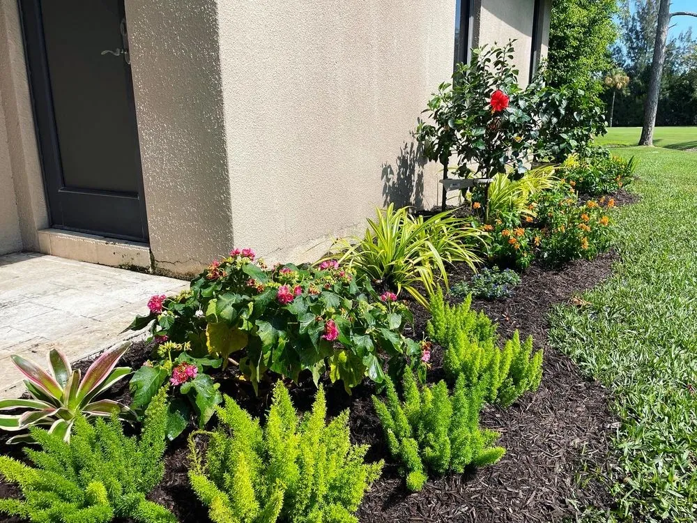 Top-rated landscape design in Boynton Beach, FL - Root Wise