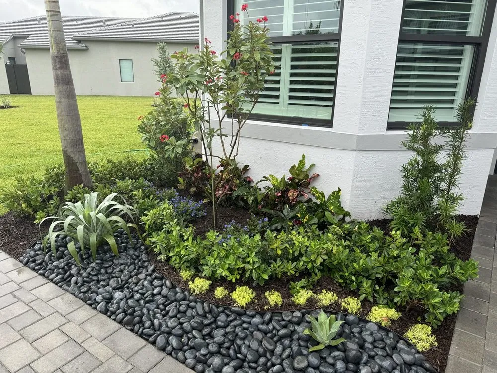 Affordable landscape design in Boynton Beach, FL by Root Wise