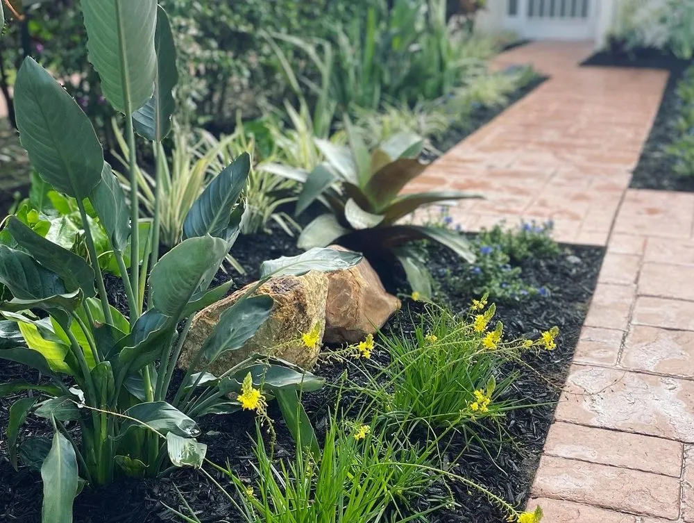 Local yard maintenance for beautiful yards in Boynton Beach, FL by Root Wise