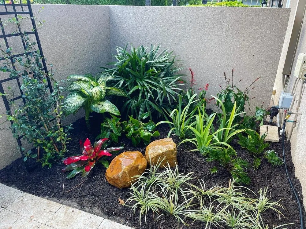 Trusted yard cleanup service experts serving Boynton Beach, FL - Root Wise