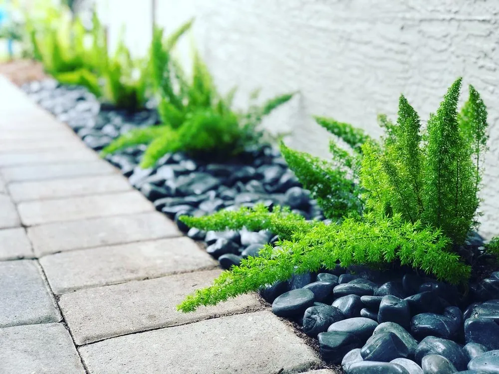 Custom landscape installation for outdoor upgrades in Boynton Beach, FL by Root Wise