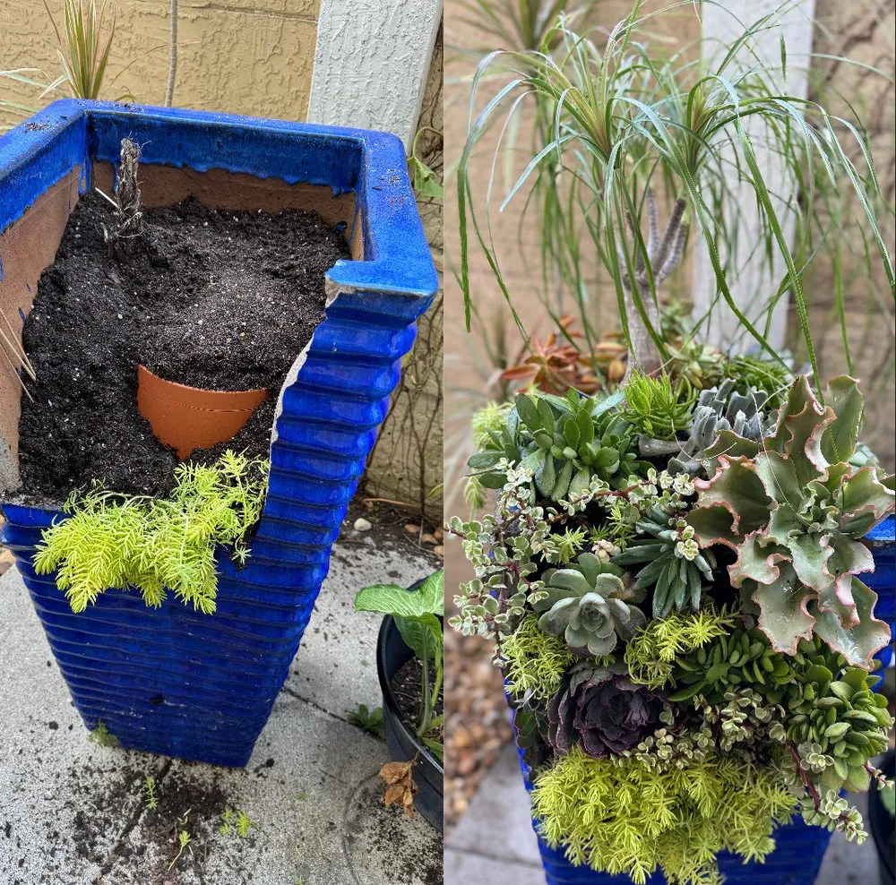 Custom landscaping services in Boynton Beach, FL - Root Wise