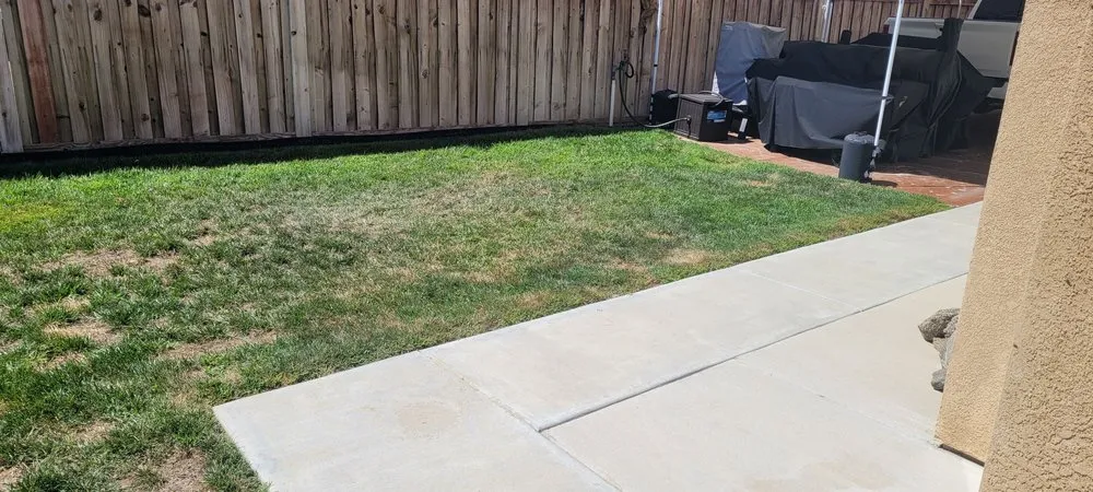 Reliable yard cleanup service in Menifee, CA - Root zone Landscape Construction