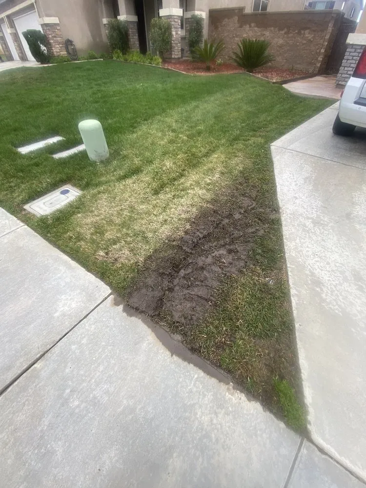 Expert garden landscaping for year-round maintenance in Menifee, CA by Root zone Landscape Construction