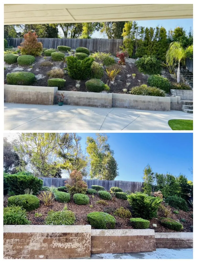 Expert landscaping services in San Diego, CA by Rooted Garden Services