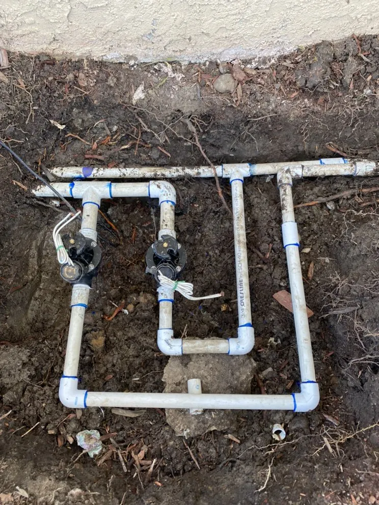 Professional landscaping services in San Diego, CA by Rooted Garden Services