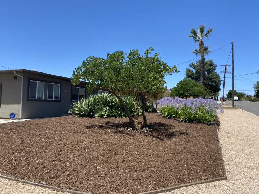 Trusted yard cleanup service for residential properties across San Diego, CA - Rooted Garden Services