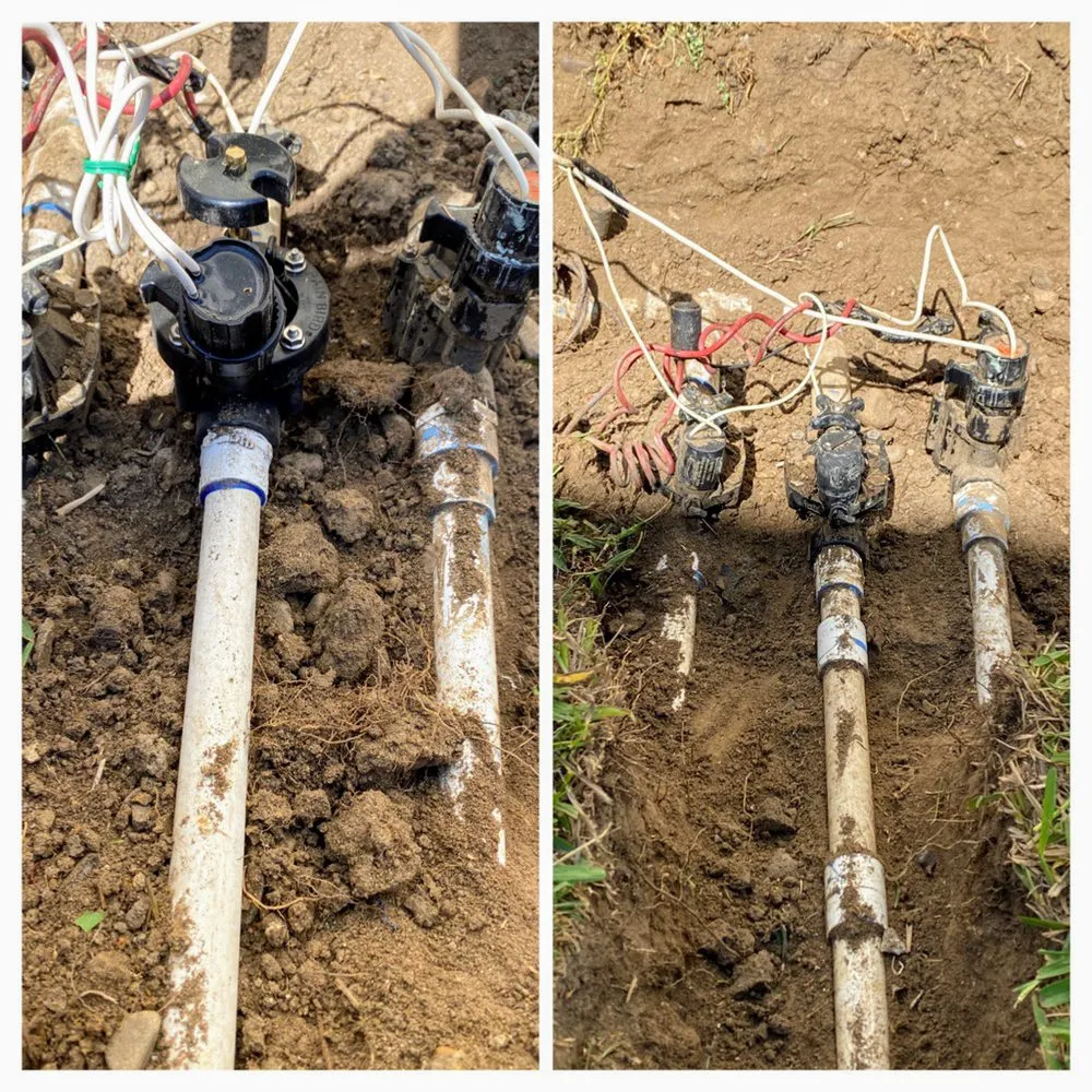 Professional garden landscaping near you in San Diego, CA by Rooted Garden Services