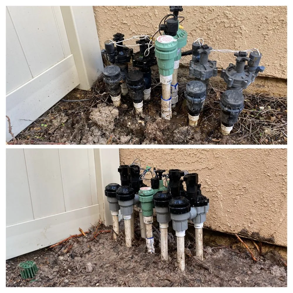 Custom yard cleanup service experts serving San Diego, CA - Rooted Garden Services