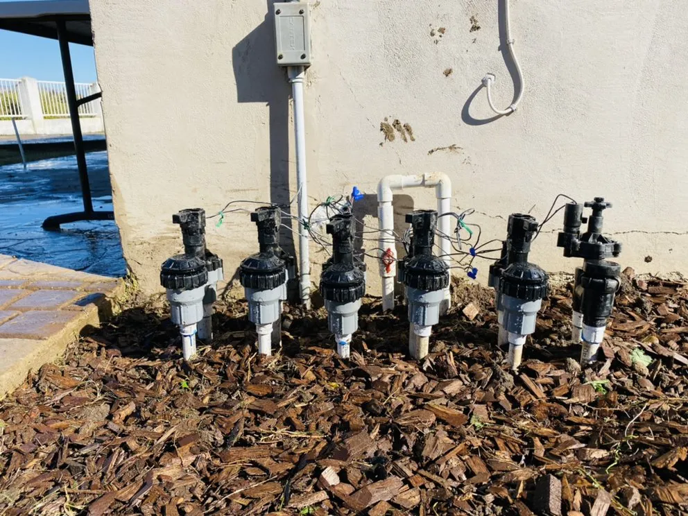 Top-rated landscape installation for homes across San Diego, CA - Rooted Garden Services