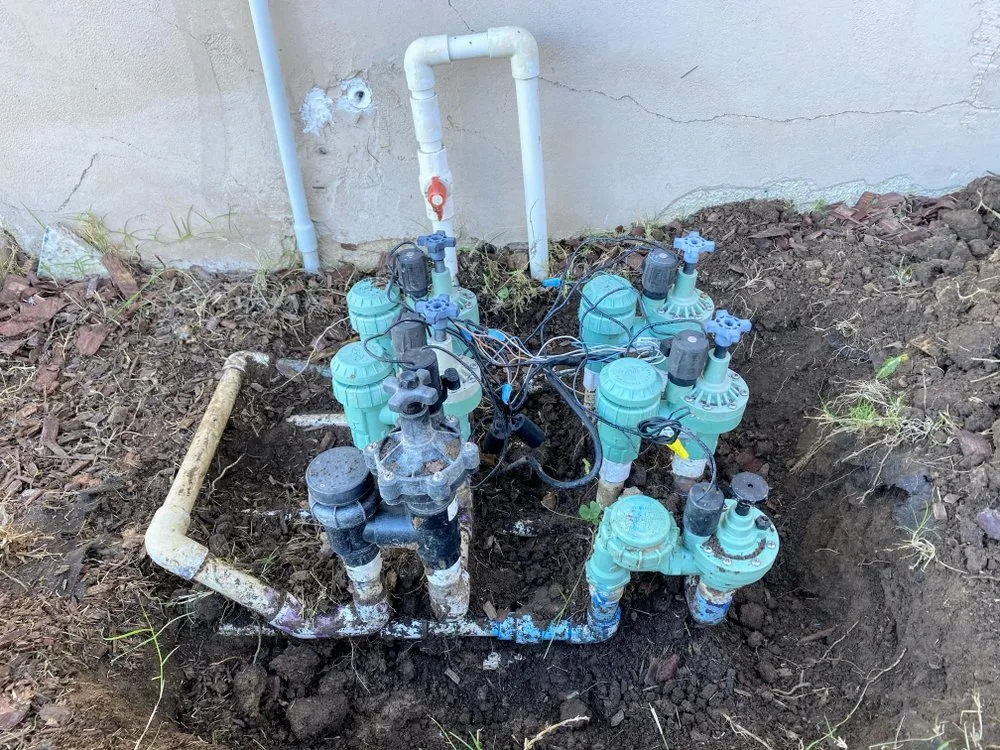 Professional residential landscaping near you across San Diego, CA - Rooted Garden Services