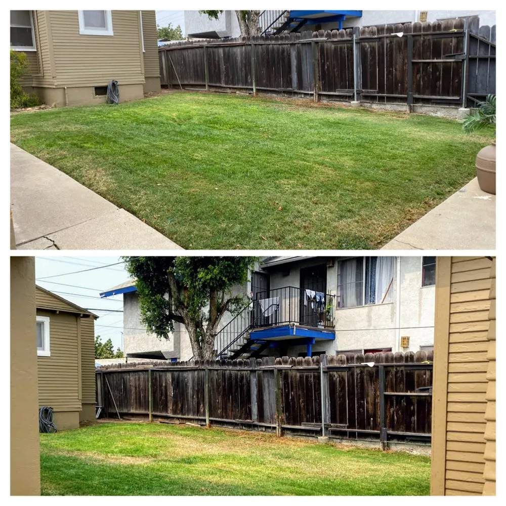 Trusted outdoor landscaping for beautiful yards in San Diego, CA by Rooted Garden Services