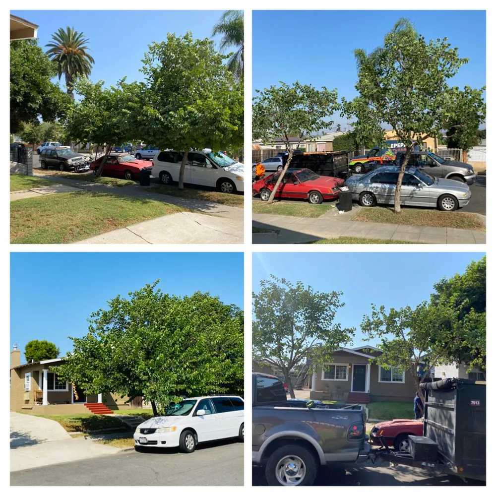 Top-rated landscape installation for homes in San Diego, CA by Rooted Garden Services