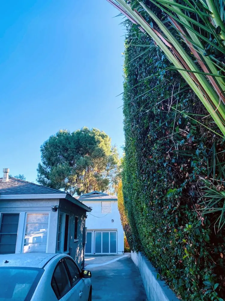 Local landscape installation in San Diego, CA by Rooted Garden Services