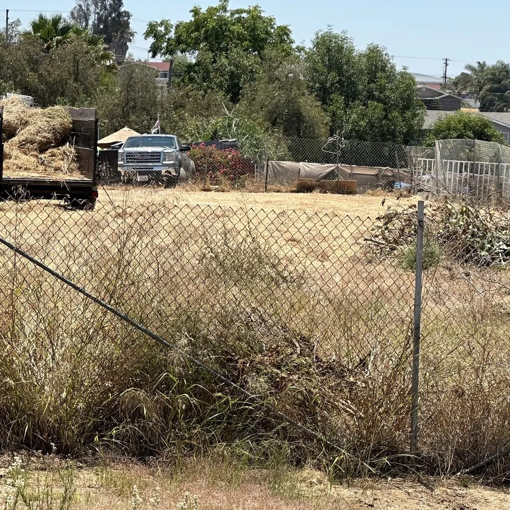 Top-rated lawn care service experts serving San Diego, CA - Rooted Garden Services