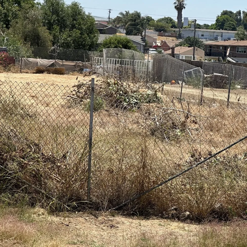 Affordable landscaping services in San Diego, CA by Rooted Garden Services