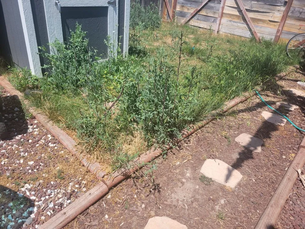 Trusted residential landscaping for year-round maintenance in San Diego, CA by Rooted Garden Services