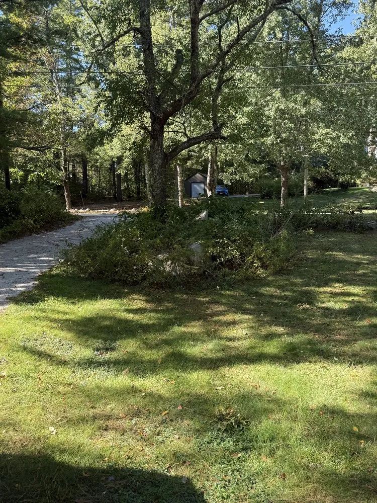 Custom garden landscaping experts serving Dartmouth, MA - Rooted Horizon