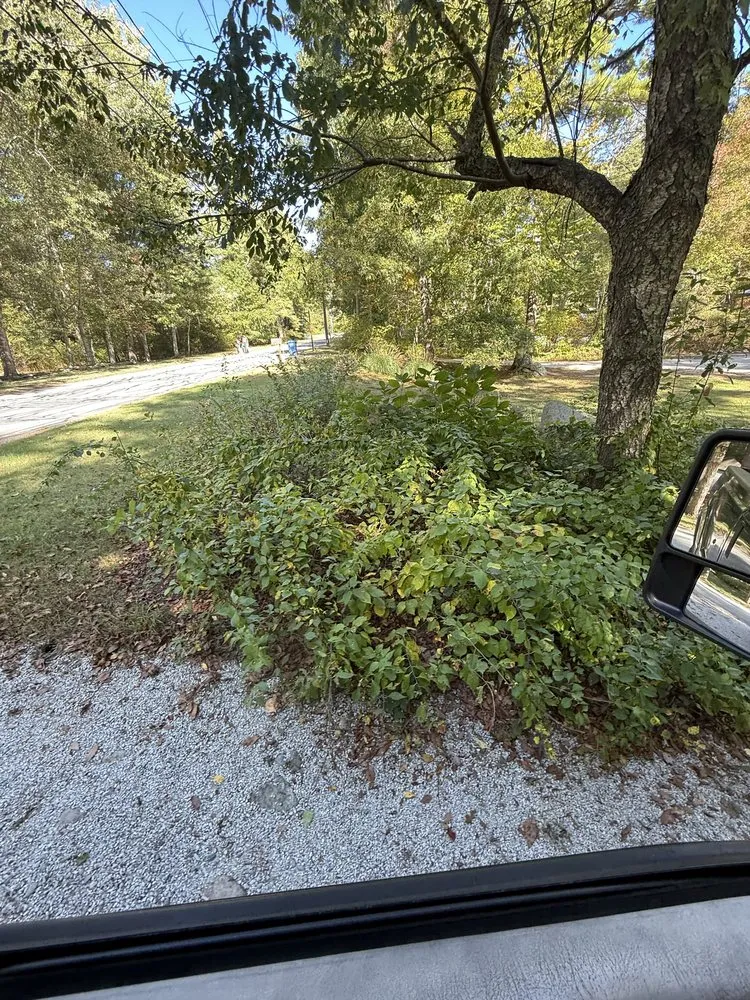 Reliable garden landscaping for beautiful yards across Dartmouth, MA - Rooted Horizon